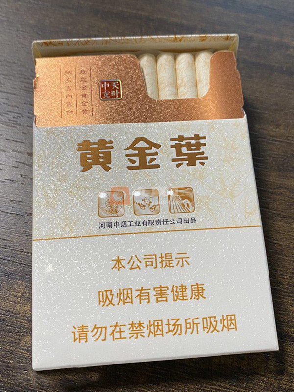 黄金叶天叶中支